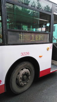 优化城市公共交通 问题反馈与改进建议